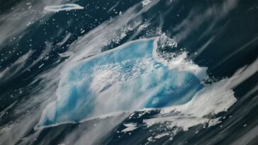Un iceberg immense comme Rome devient bleu et menace de se désintégrer : que se passe-t-il ? 15 L’iceberg A23a est devenu bleu. L’image capturée à la fin de décembre 2025 par la Station Spatiale Internationale. Crédit : NASA