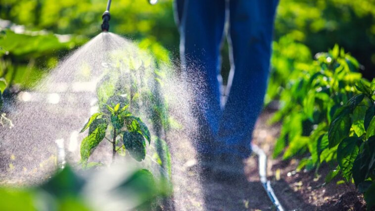 Un pesticide agricole lié à un risque presque triplé de Parkinson : une étude révélatrice 1 Image