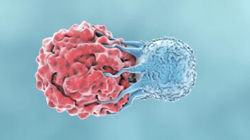 Un vaccin contre le cancer dévoile des résultats surprenants après 20 ans : ce qu'il révèle sur la réponse immunitaire contre la maladie 20 Illustration d'une cellule T du système immunitaire attaquant une cellule tumorale / iStock