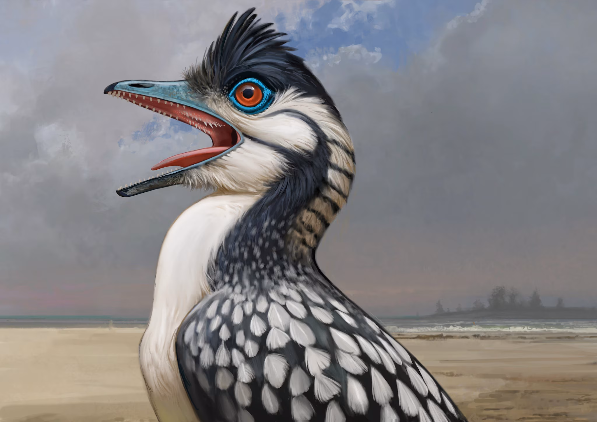Incroyable découverte dans le crâne d'un fossile d'Archaeopteryx, l'emblématique dinosaure volant du Jurassique 3 Illustration d'un Archaeopteryx avec les papilles orales. Crédit : Ville Sinkkonen