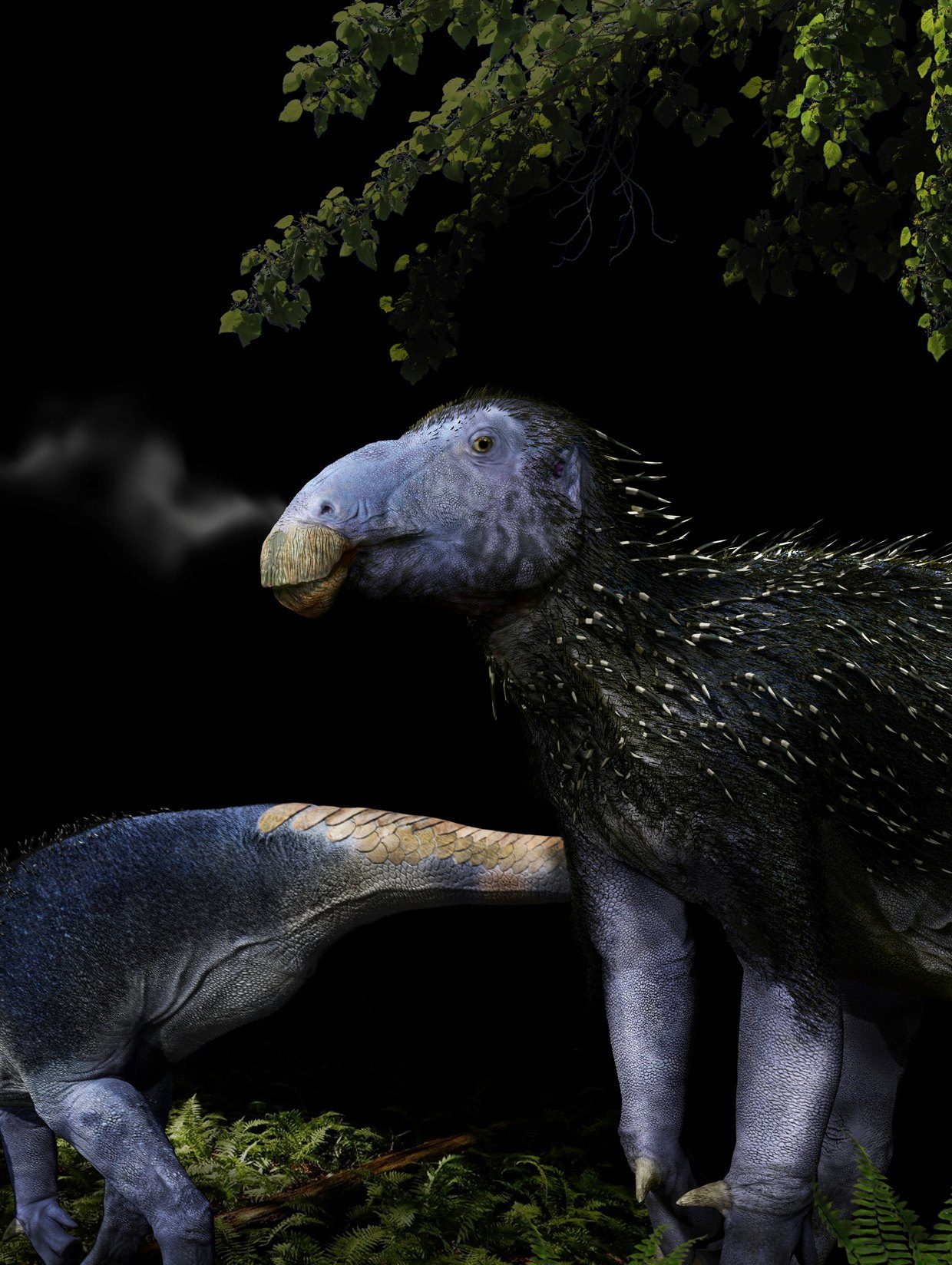 Le "drago épineux" possédait une armure d'épines jamais observée auparavant chez les dinosaures : des paléontologues fascinés 6 Représentation du "drago spinoso". Crédit : FM