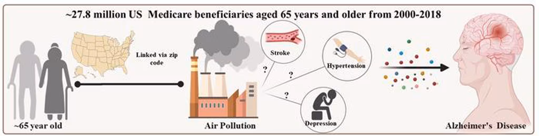 Alzheimer et pollution : les révélations d'une étude sur 28 millions de personnes sur 18 ans 3 Schéma de l'étude sur l'exposition au PM2,5 et le risque d'Alzheimer chez plus de 27 millions d'Américains âgés / Crédits : Yanling Deng et al., PLOS Medicine 2026