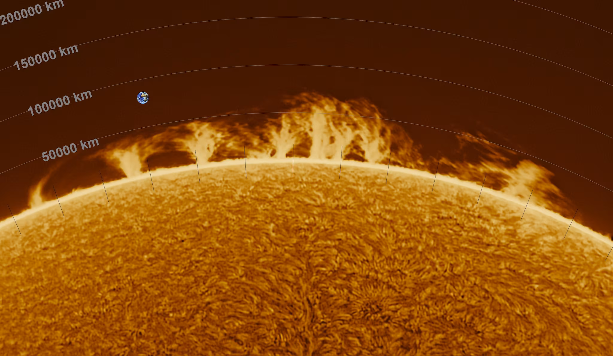 La puissance du soleil à travers les magnifiques clichés : "Une émotion sans fin" 9 Variétés de protubérances sur le Soleil. Crédit : Fabio Giordano