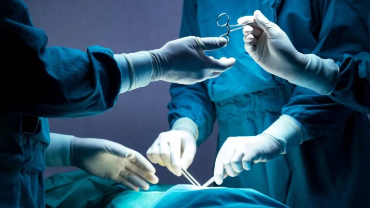 Enfant greffé avec un « cœur brûlé » : le cardiologue dévoile comment déterminer si un patient est éligible à la greffe 1 Image