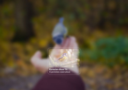 Google nous a donné un aperçu de l'apparence d'Android XR