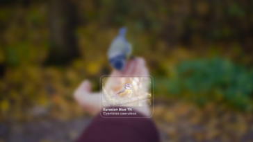 Google nous révèle un aperçu visuel fascinant d'Android XR 17 Google nous a donné un aperçu de l'apparence d'Android XR