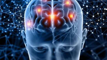Le Neurocovid existe, l'avis des experts : « Ceux qui ont eu l'infection doivent passer des examens neurologiques » 29 Image
