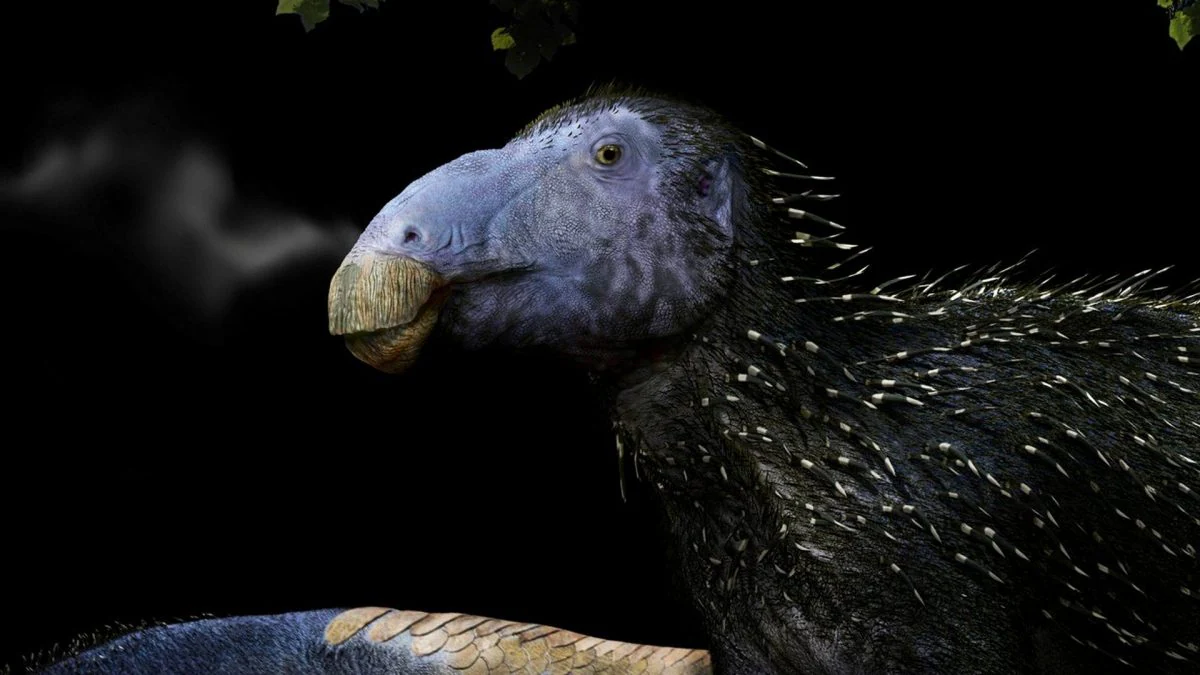 Le "drago épineux" possédait une armure d'épines jamais observée auparavant chez les dinosaures : des paléontologues fascinés 2 Représentation du "drago spinoso". Crédit : FM