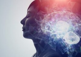 Pourquoi dormons-nous ? Une étude sur les méduses transforme notre compréhension de l'origine du sommeil 33 Le sommeil pourrait ne pas être né pour des fonctions cognitives complexes, mais pour protéger les cellules nerveuses des dommages accumulés pendant l'éveil / Photo : iStock