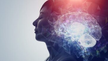 Pourquoi dormons-nous ? Une étude sur les méduses transforme notre compréhension de l'origine du sommeil 30 Le sommeil pourrait ne pas être né pour des fonctions cognitives complexes, mais pour protéger les cellules nerveuses des dommages accumulés pendant l'éveil / Photo : iStock