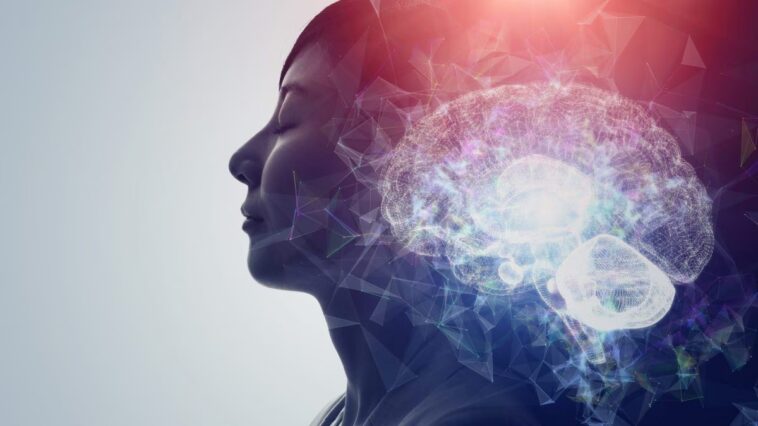 Pourquoi dormons-nous ? Une étude sur les méduses transforme notre compréhension de l'origine du sommeil 1 Le sommeil pourrait ne pas être né pour des fonctions cognitives complexes, mais pour protéger les cellules nerveuses des dommages accumulés pendant l'éveil / Photo : iStock