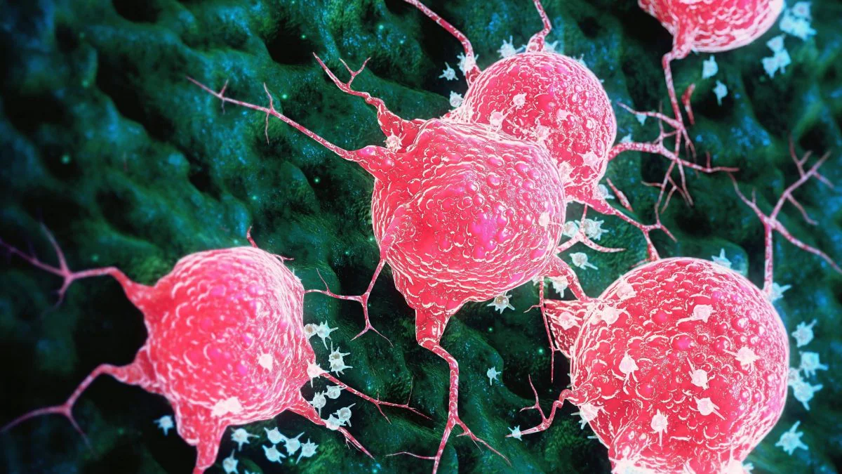 Une toxine du choléra stoppe le cancer du côlon chez les souris : "Elle élimine les cellules tumorales" 2 Image