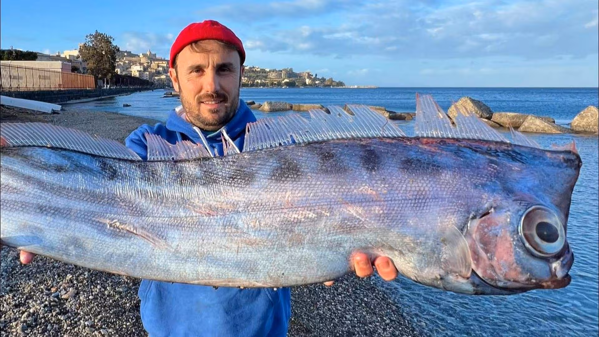 Deux poissons échoués sur une plage au Mexique, le sauvetage en vidéo : “On dirait qu'ils sortent d'un film de science-fiction” 5 Le poisson liocorne échoué à Milazzo, soutenu par un biologiste marin. Crédit : Carmelo Isgrò/Facebook
