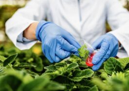 Comment l'UE utilise l'IA pour détecter les aliments dangereux avant qu'ils n'atteignent les rayons
