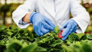 Comment l'UE utilise l'IA pour détecter les aliments dangereux avant qu'ils n'atteignent les rayons