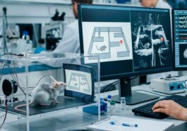 Des scientifiques déchiffrent les pensées de souris et les restituent en vidéo 31 Científicos leen la mente de ratones y reproducen en vídeo exactamente lo que habían visto