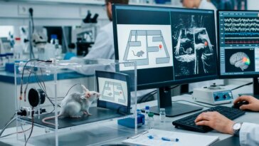 Des scientifiques déchiffrent les pensées de souris et les restituent en vidéo 10 Científicos leen la mente de ratones y reproducen en vídeo exactamente lo que habían visto