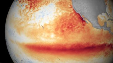 El Niño de retour en 2026 ? Les nouvelles prévisions de la NOAA sur ce phénomène pouvant entraîner chaleur et pluies extrêmes 6 Anomalie de la température de surface du Pacifique équatorial lors d'un événement El Niño. Crédits : NOAA.