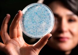 Elle a 3,2 milliards d'années et révèle les secrets de l'origine de la vie : elle renaît ! 36 Tiene 3.200 millones de años y la clave para conocer el origen de la vida: ahora la han resucitado