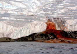 L'Antarctique génère des chutes de sang, et personne ne savait ce que cela voulait dire jusqu'à présent 46 La Antártida está creando cataratas de sangre, y nadie sabía qué significaba hasta ahora