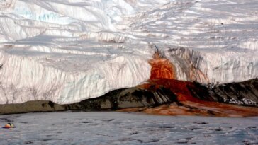 L'Antarctique génère des chutes de sang, et personne ne savait ce que cela voulait dire jusqu'à présent 30 La Antártida está creando cataratas de sangre, y nadie sabía qué significaba hasta ahora