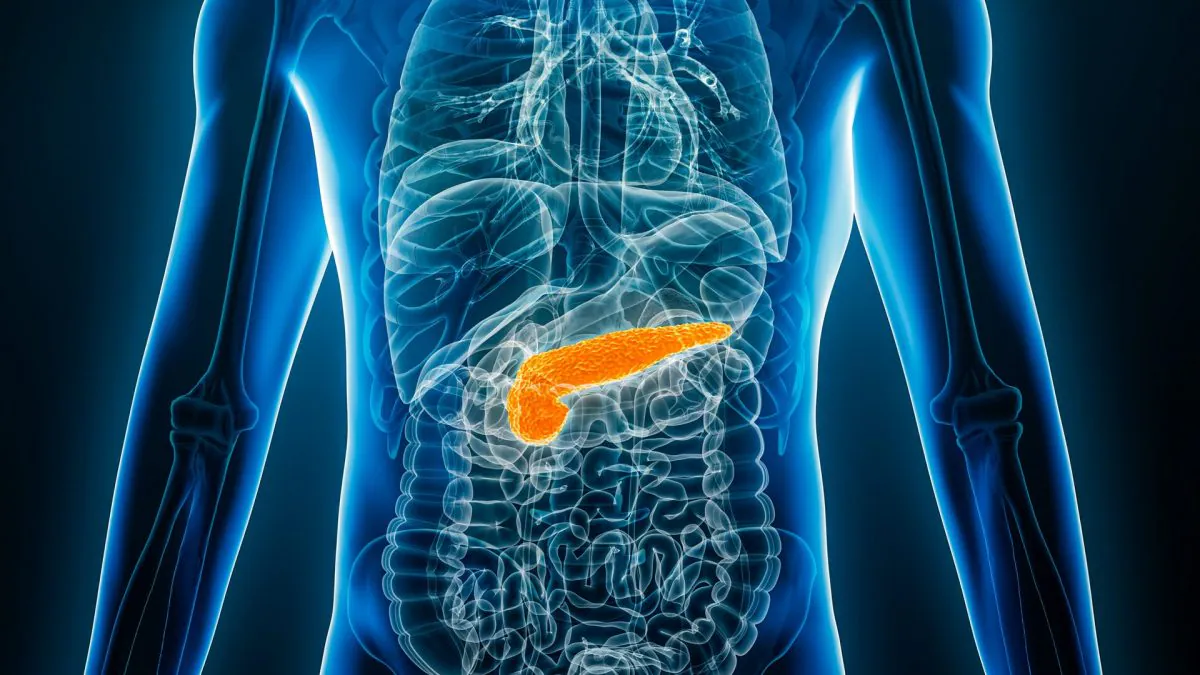 Le cancer du pancréas : un défi unique pour les oncologues, explications de Reni sur sa complexité 2 Image