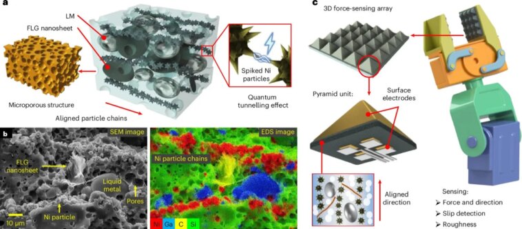 Le graphène fait encore parler de lui : il est désormais utilisé comme peau synthétique pour robots 1 Image 3D de la composition et microstructures de cette peau artificielle