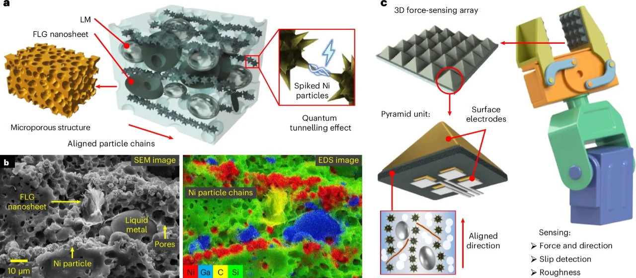 Le graphène fait encore parler de lui : il est désormais utilisé comme peau synthétique pour robots 2 Image 3D de la composition et microstructures de cette peau artificielle