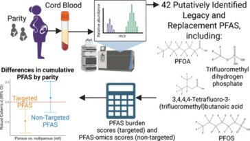 Les bébés naissent déjà pollués : une étude révèle 42 produits chimiques en eux avant la naissance 5 Les objectifs de ce study étaient de fournir une image plus complète de l'exposition aux PFAS