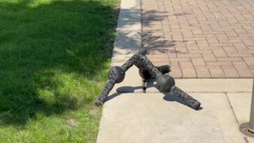 Robots indestructibles : des machines à pattes qui se réparent d'elles-mêmes après un choc 6 Robots que no se rinden: la IA diseña máquinas con patas que se reparan solas tras sufrir daño