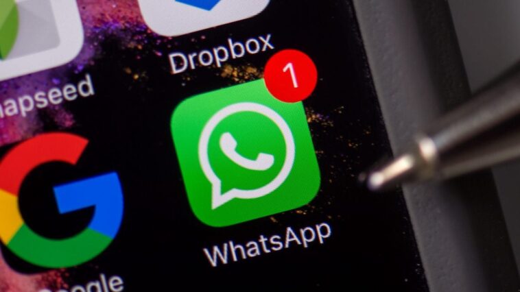 Sur WhatsApp, les mises à jour de statut seront accessibles même pour les numéros non enregistrés : quelles sont les nouveautés ? 1 Sur WhatsApp, les mises à jour de statut seront accessibles même pour les numéros non enregistrés : quelles sont les nouveautés ?