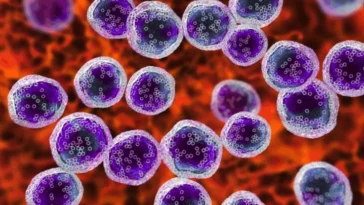 Traitement universel du cancer ? Cette nouvelle nanoparticule pourrait être la clé
