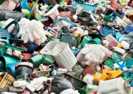 Transformer les déchets plastiques en vinaigre grâce à la lumière du soleil : les découvertes des scientifiques 93 Image