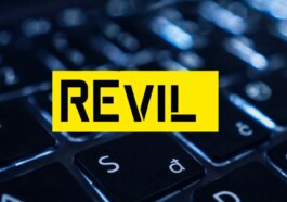 Les autorités allemandes identifient les chefs des ransomwares REvil et GangCrab