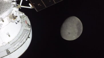 Découvrez la Lune comme jamais auparavant : les images les plus époustouflantes du survol historique d'Artemis II