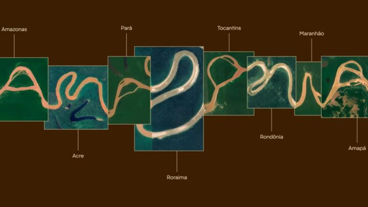 Le logo de la plus grande forêt du monde a été dessiné par la rivière elle-même. Découvrez le résultat ! 2 Logo de la plus grande forêt du monde, l'Amazonie, dessiné par la rivière elle-même.
