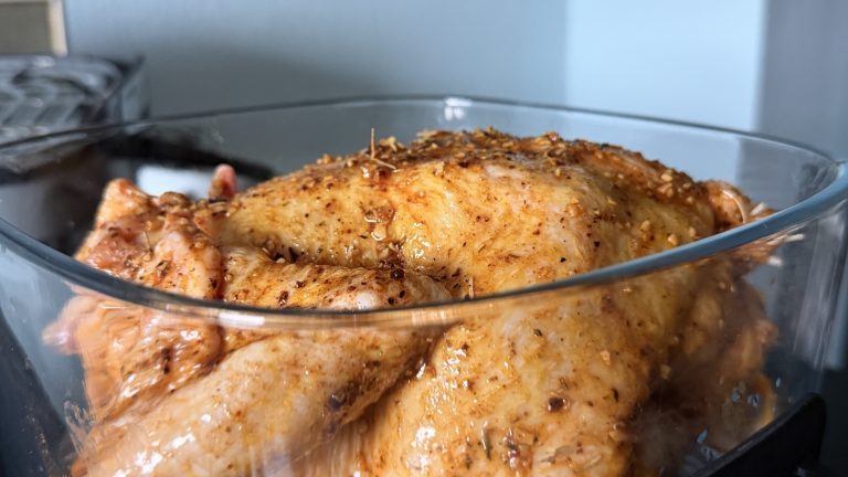 Dreame Tasti Test Chicken Before