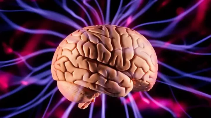 Que se passe-t-il dans le cerveau sous anesthésie ? 4 1778794953 394 Que se passe t il dans le cerveau sous anesthesie