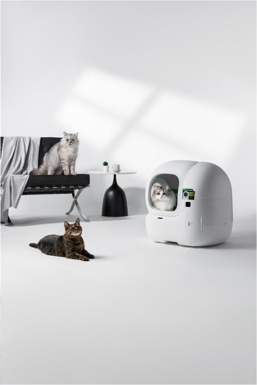 Un quotidien futé avec son chat : des accessoires intelligents pour des soins simplifiés 6 Le Purobot représente un enrichissement extraordinaire, même pour plusieurs chats. (Photo : Petkit)