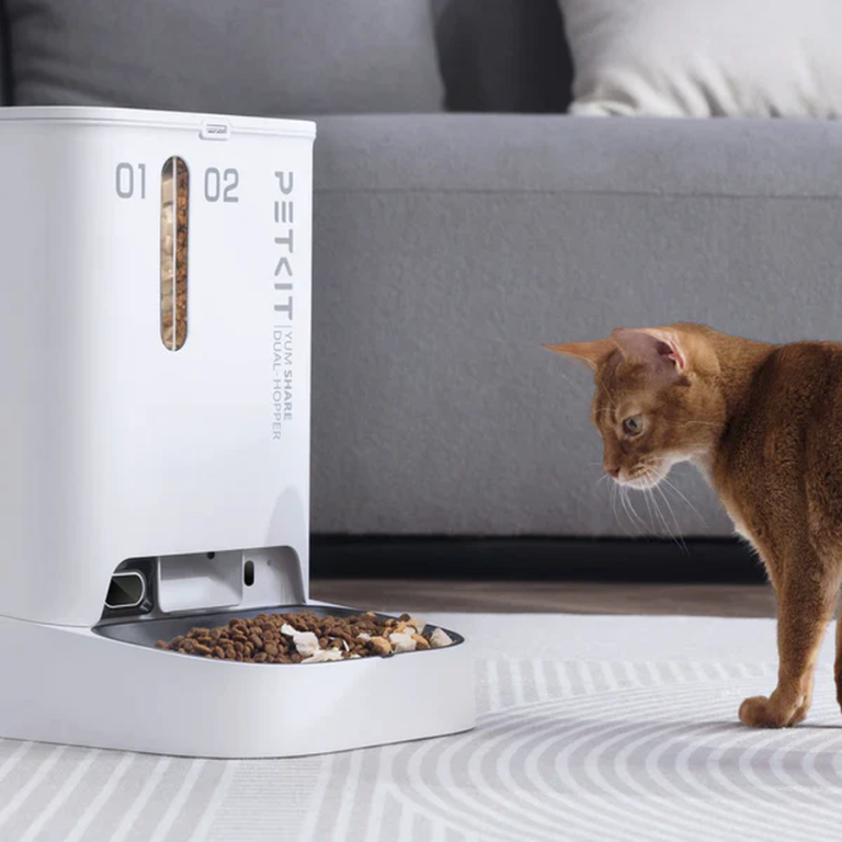 Un quotidien futé avec son chat : des accessoires intelligents pour des soins simplifiés 8 Grâce à ces appareils, vous retrouvez aussi de la qualité de vie. (Photo : Petkit)