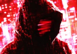 Négociateur de « cold cases » du gang d'extorsion Karakurt condamné à 8,5 ans de prison 55 Négociateur de « cold cases » du gang d'extorsion Karakurt condamné à 8,5 ans de prison