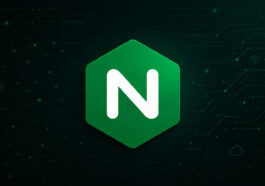 Vulnérabilité NGINX vieille de 18 ans permettant des attaques par déni de service et une exécution de code à distance potentielle