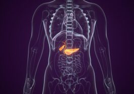 Cancer du pancréas: les oncologues émus aux larmes par les progrès thérapeutiques