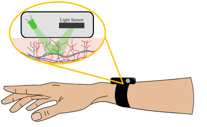 Un smartwatch peut-il mesurer le pouls d'une pomme ? Voici l'explication 3 Un smartwatch peut il mesurer le pouls dune pomme Voici