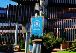 Une agence de l'ONU révèle une cyberattaque ayant touché 600 000 foyers à Gaza