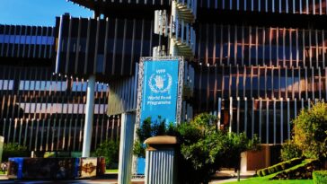Une agence de l'ONU révèle une cyberattaque ayant touché 600 000 foyers à Gaza 4 Une agence de l'ONU révèle une cyberattaque ayant touché 600 000 foyers à Gaza