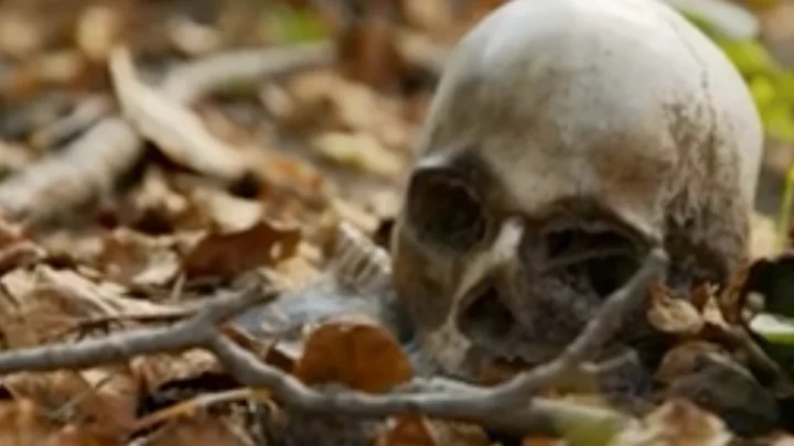 De la mort à la poussière : découvrez les étapes fascinantes et troublantes de la décomposition du corps humain 7 1782938647 141 De la mort a la poussiere decouvrez les etapes fascinantes