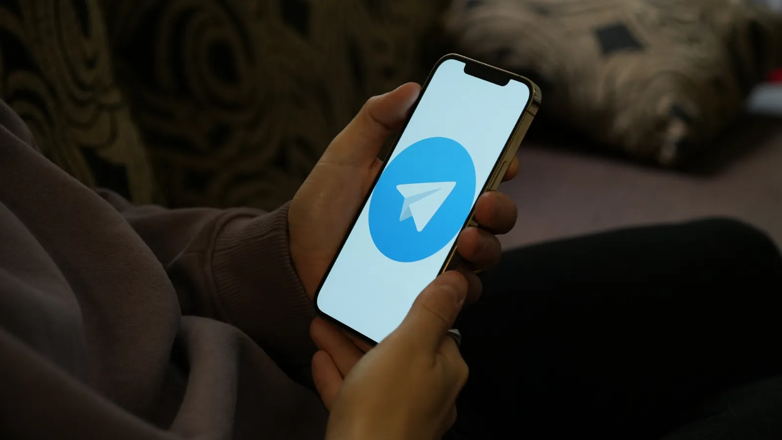 Qu'est-ce que le Chat Control et comment nous affecte-t-il 5 Écran de mobile avec le logo de Telegram