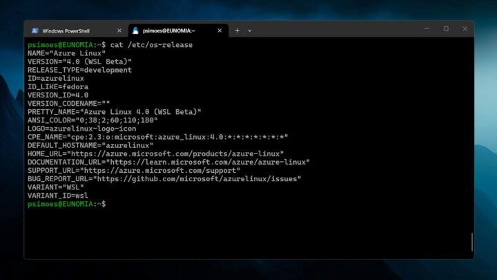 O Linux Azure da Microsoft chega finalmente ao Windows 11. 3 Linux Azure Windows 11 Microsoft